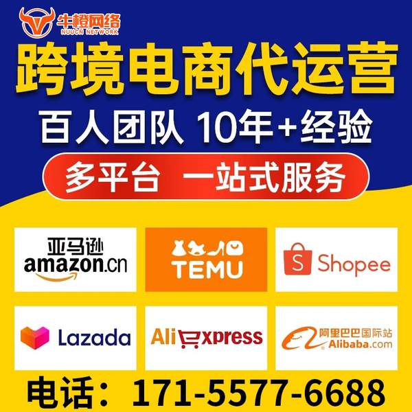 樟树电商代运营