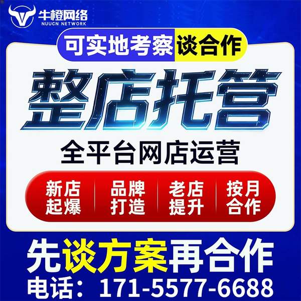 樟树电商代运营