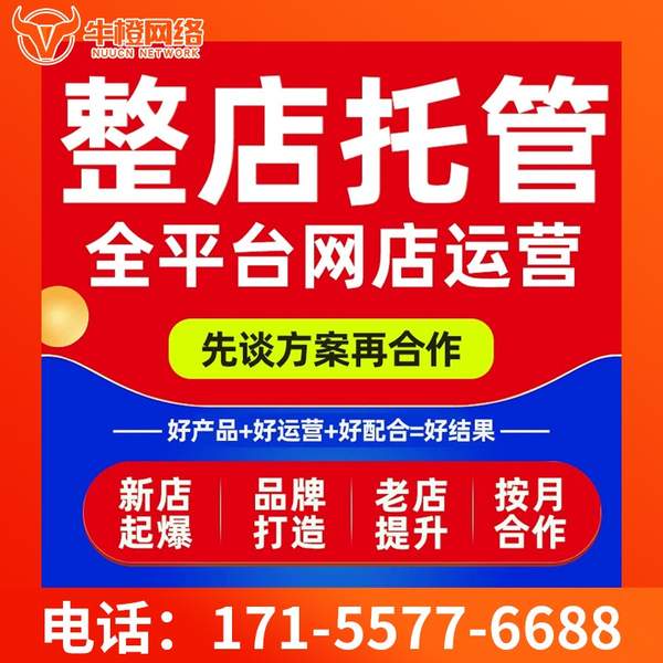 樟树电商代运营