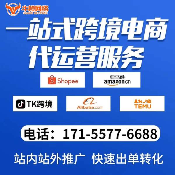 樟树电商代运营